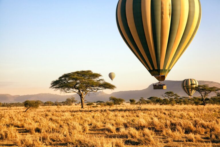 Balloon Safari1