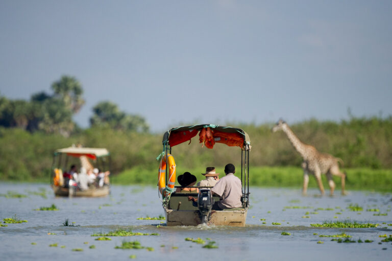 Boat Safari In Nyerere National Park