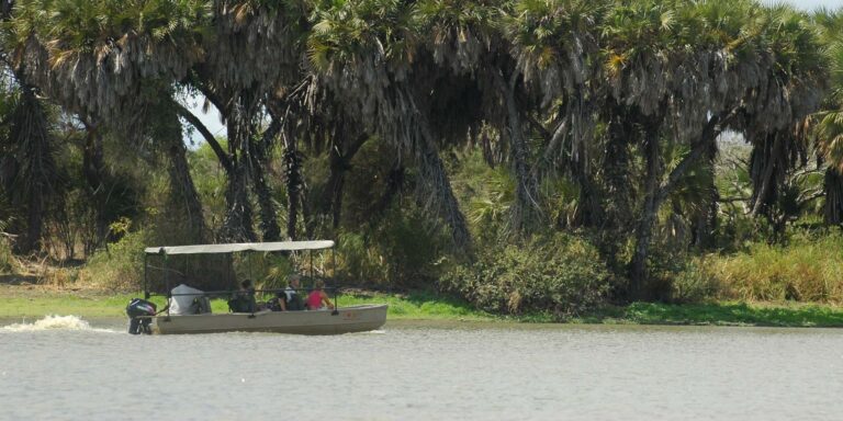 Boat Safari In Nyerere National Park4