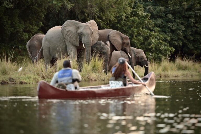 Canoe Safari In Tanzania4