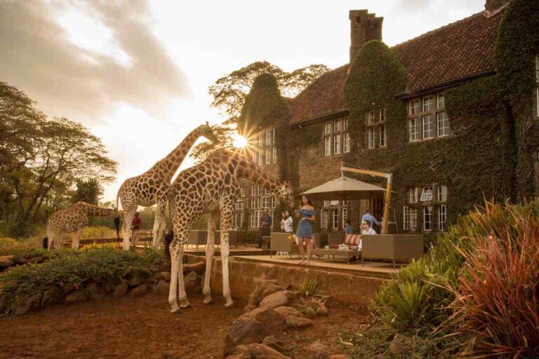 Karen Blixen Museum and Giraffe Center Tour – half Day4