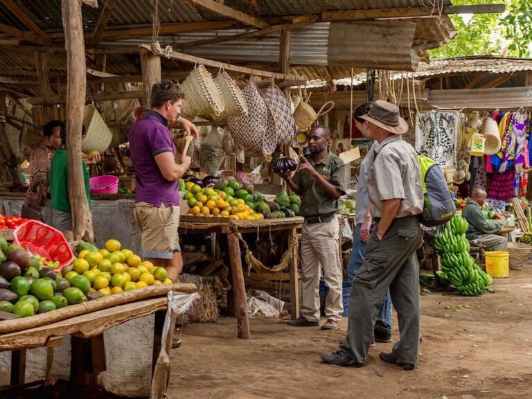 Mto Wa Mbu Village Walk