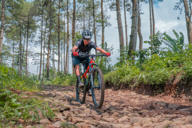 Cycling And Mountain Biking 2