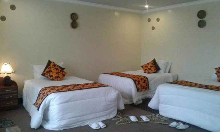 Da Vinci Gorilla Lodge 9