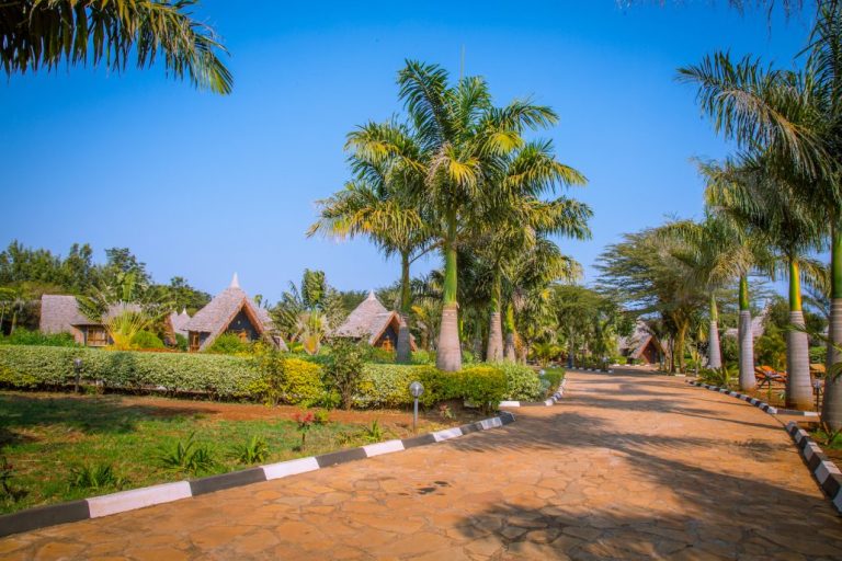 Farm of Dreams Lodge5