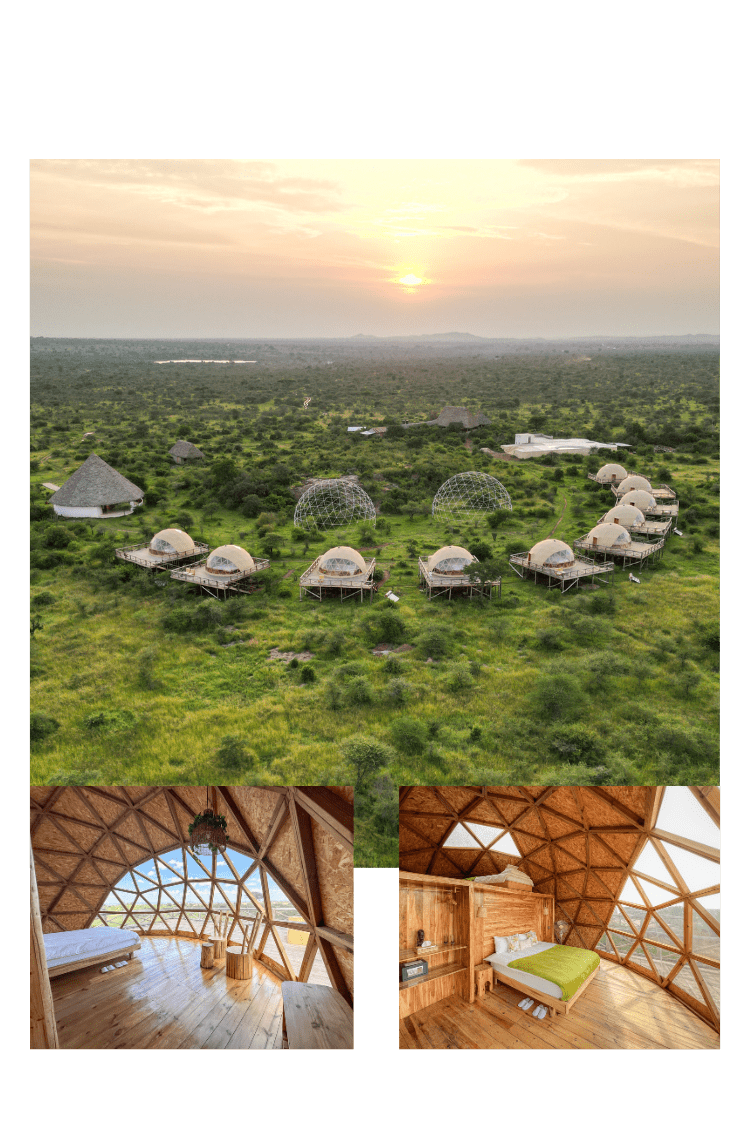 Kuoom-Serengeti-1 (2)