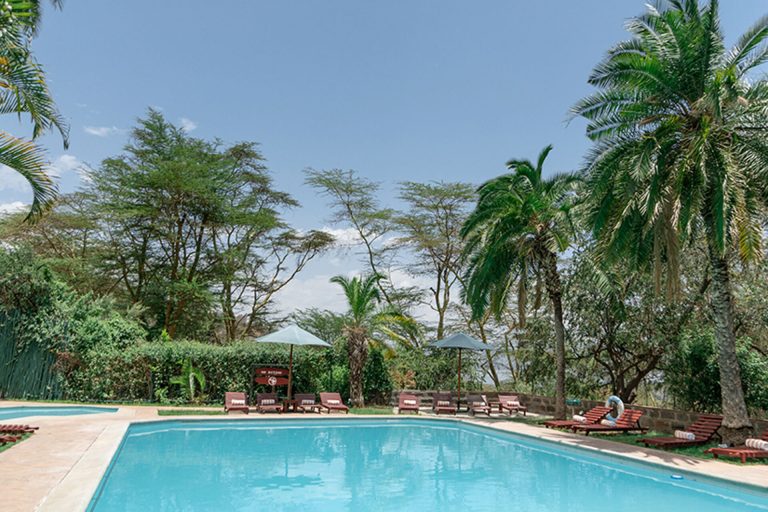 SAROVA LION HILL4