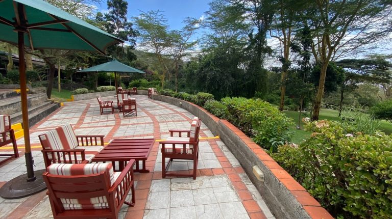 SAROVA LION HILL5