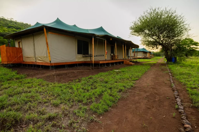 Safari Haven Serengeti Camp 4